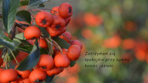fot.: Urszula Winiarska