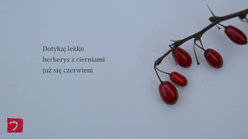 fot.: Urszula Winiarska