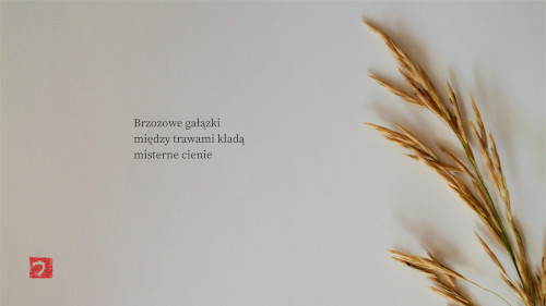 fot.: Urszula Winiarska