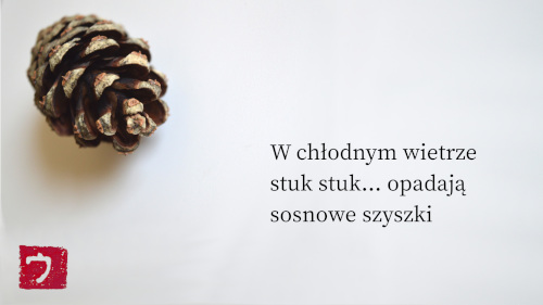 fot.: Urszula Winiarska