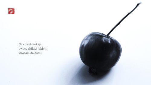 fot.: Urszula Winiarska