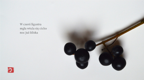 fot.: Urszula Winiarska